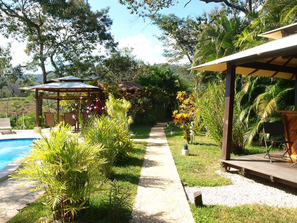 Couette-café Margouillat Tambor (Puntarenas)